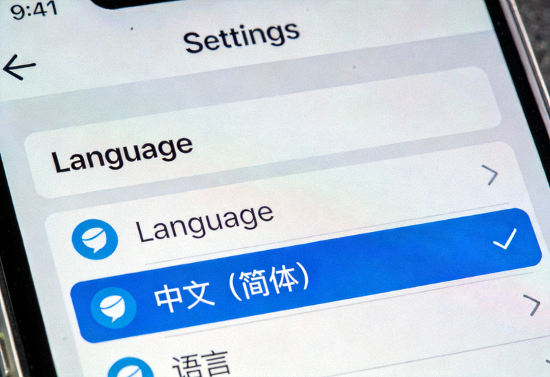 Telegram设置界面中选择中文语言选项的详细截图